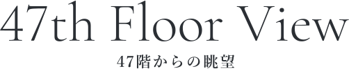 47th Floor View 47階からの眺望